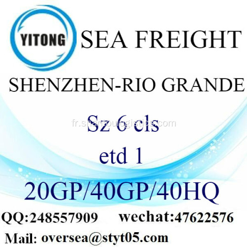 Fret maritime de Port de Shenzhen expédition au Rio Grande